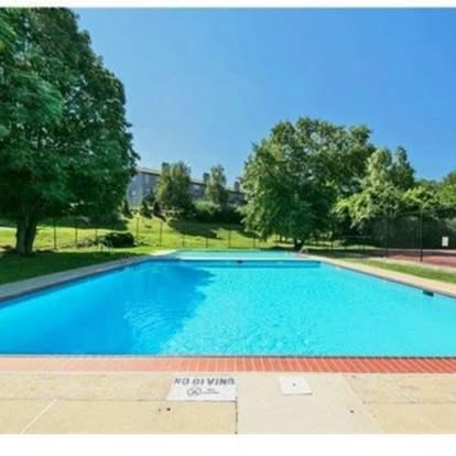 Outdoor rectangular swimming pool with bright blue water and concrete deck surrounded by green trees and grass
