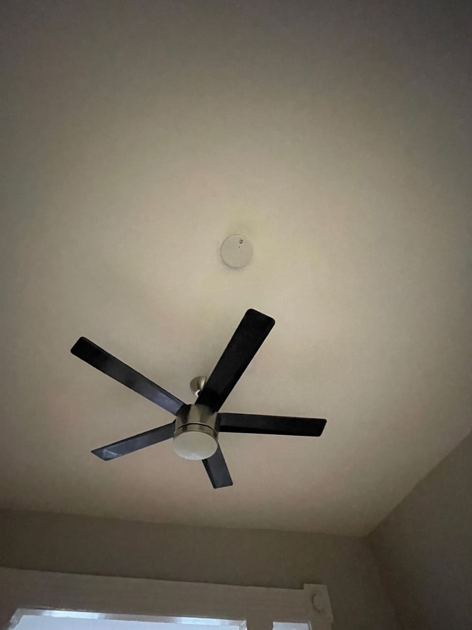 Ceiling fan with black blades and silver motor mounted on white ceiling with smoke detector above